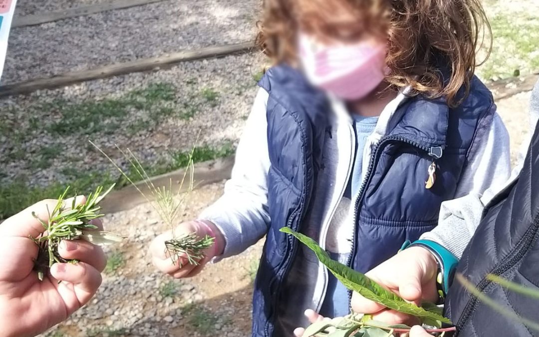 JUEGOS DE EDUCACIÓN AMBIENTAL